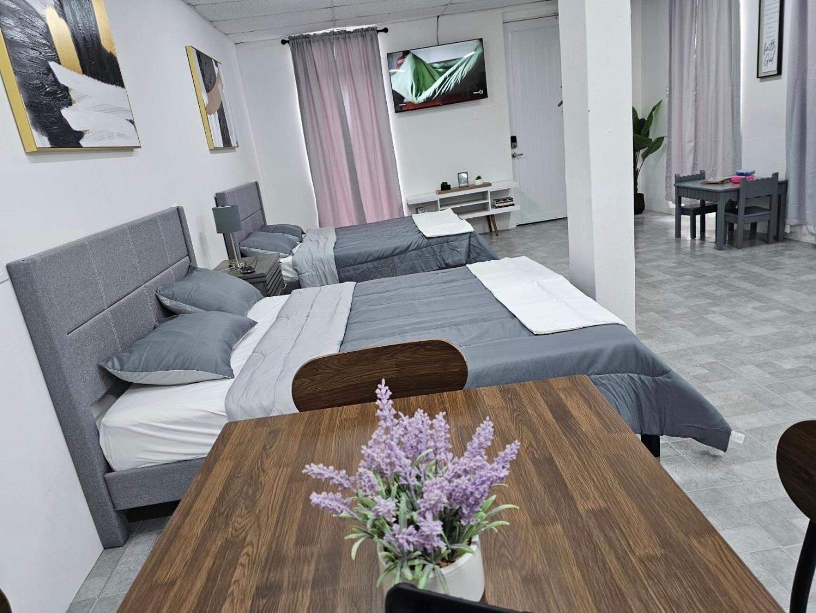 Salmos 23 Acogedor Apartamento Estudio Ceiba エクステリア 写真