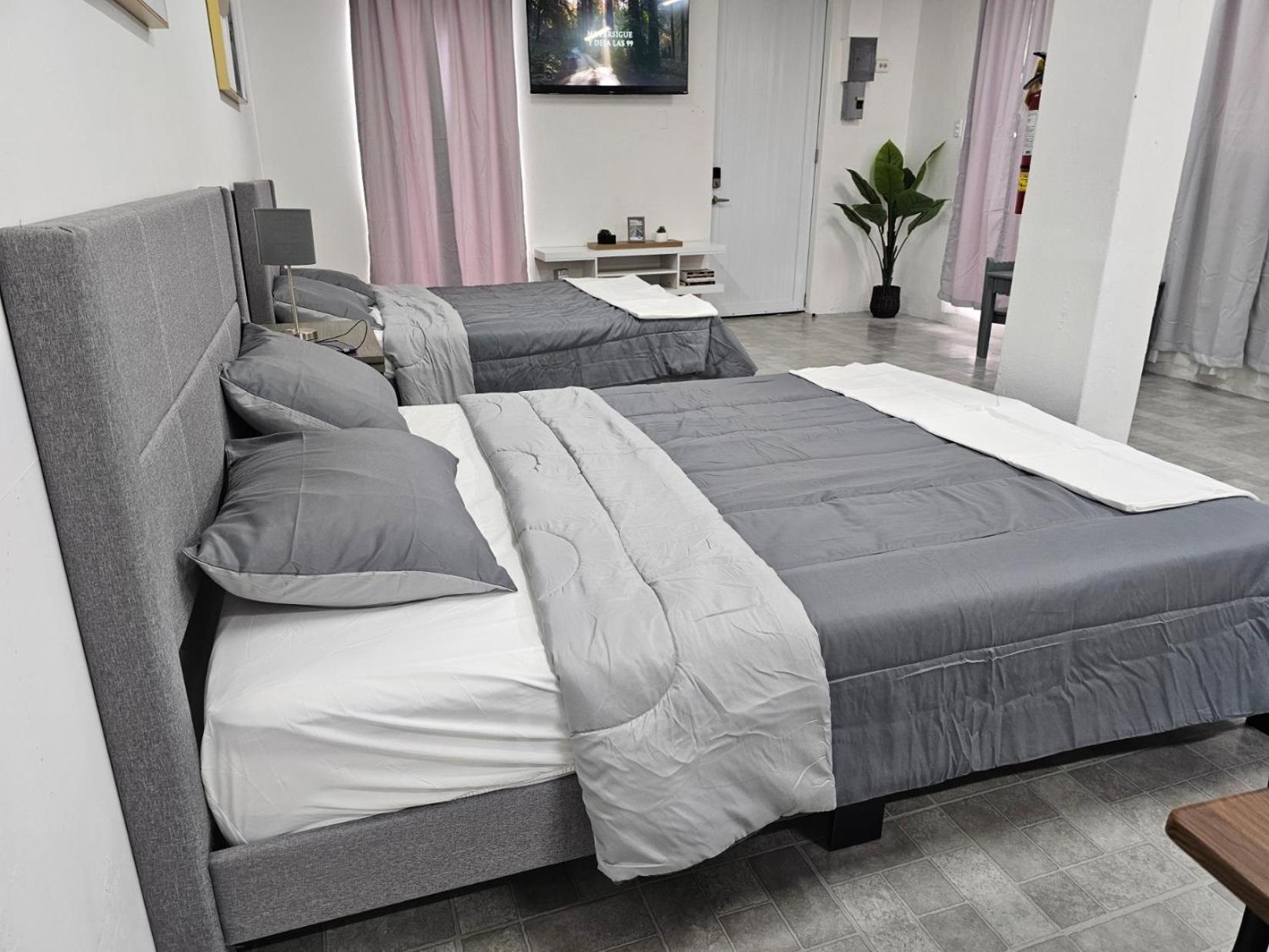 Salmos 23 Acogedor Apartamento Estudio Ceiba エクステリア 写真